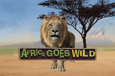 Africa Goes Wild Video Slot