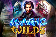 Magic Wilds Video Slot
