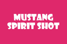 Mustang Spirit Video Slot