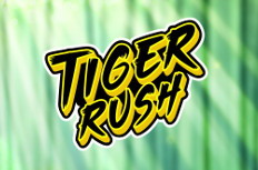 Tiger Rush Video Slot