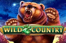 Wild Country Video Slot