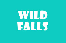 Wild Falls Video Slot