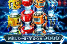 Wild-O-Tron 3000 Video Slot