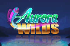 Aurora Wilds Video Slot