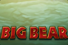 Big Bear Video Slot