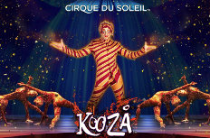 Cirque Du Soleil Amaluna Video Slot