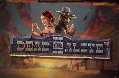 Dead or Alive 2 Video Slot