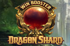 Dragon Shard Video Slot