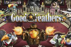 Goodfeathers Video Slot