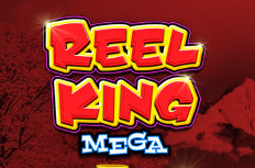 Reel King Mega Video Slot