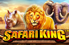 Safari King Video Slot