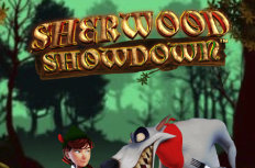 Sherwood Showdown Video Slot