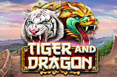 Tiger and Dragon Video Slot