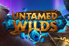 Untamed Wilds Video Slot