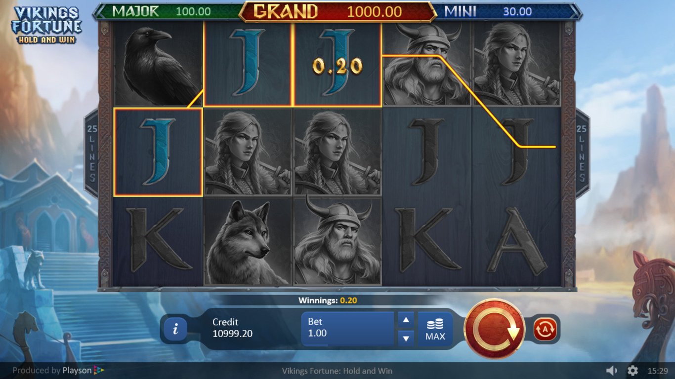 Vikings Fortune: Hold and Win Slot Game