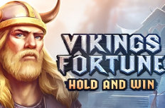 Vikings Fortune: Hold and Win Video Slot