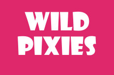 Wild Pixies Video Slot